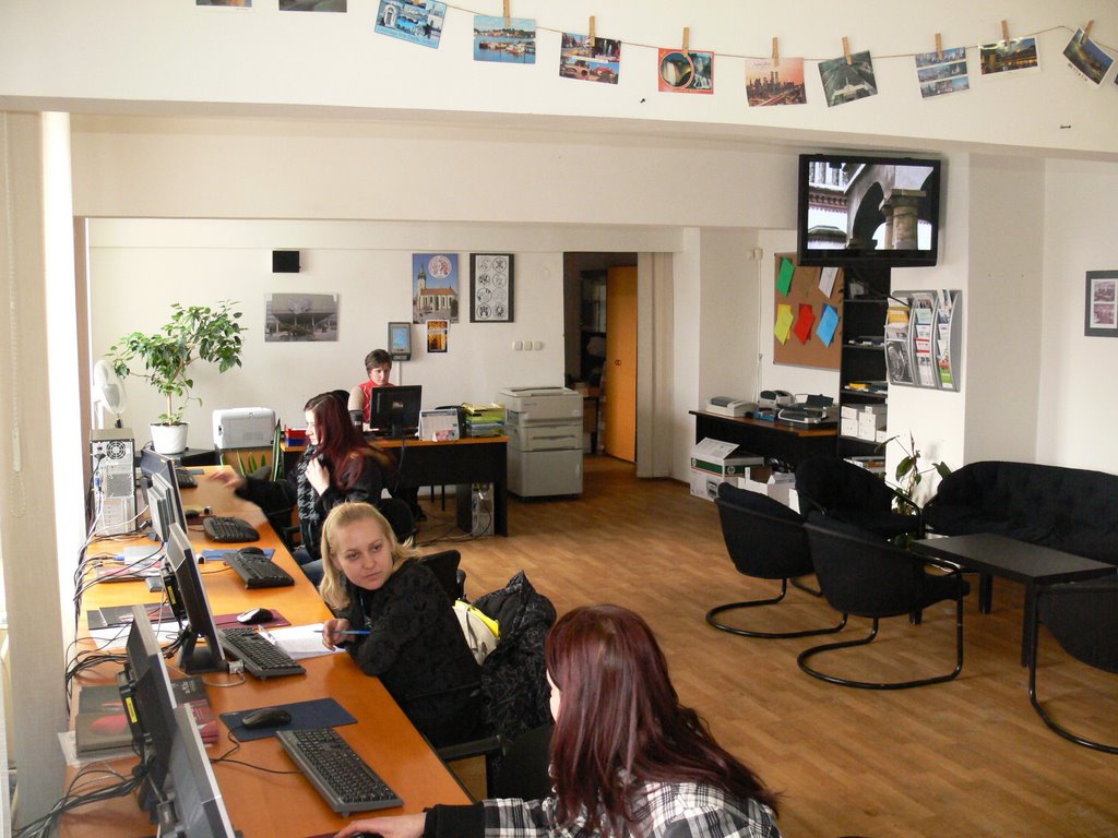 P1160618_.JPG