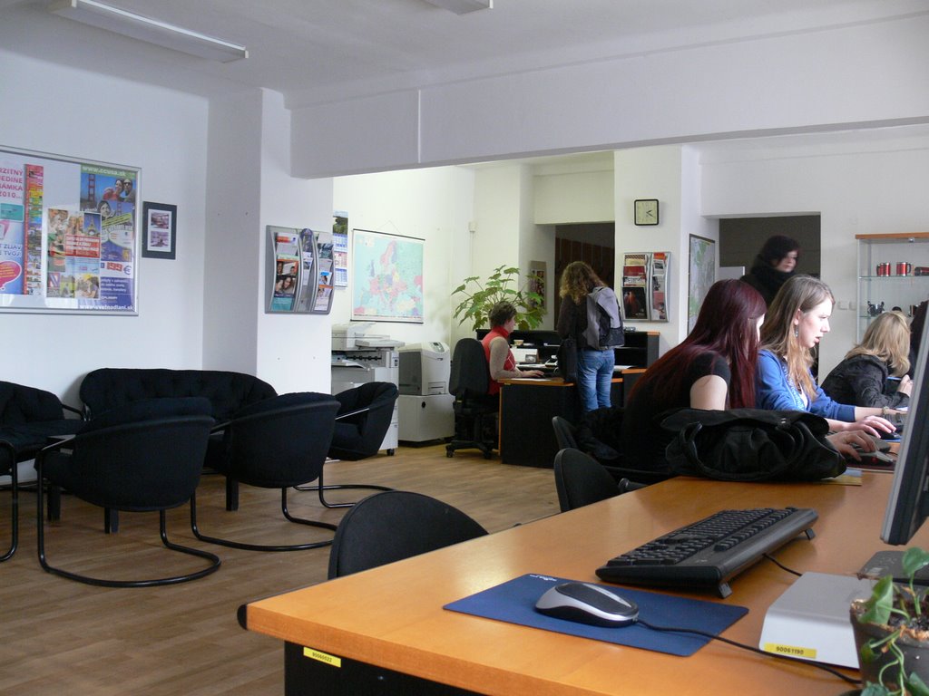 P1160639_.JPG