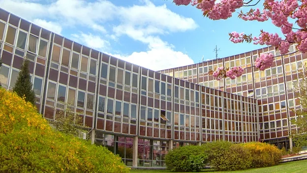 Naše študijné programy