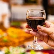 Úvod nového kalendárneho roka sa niesol v duchu stretnutia pri čaši vína