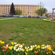 Zaplatenie depozitu - oznam pre zahraničných študentov