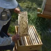 Svetový deň včiel - Deň otvorených úľov na Prešovskej univerzite