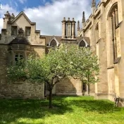Marek Chmelík z Fakulty zdravotníckych odborov prednášal na University of Cambridge