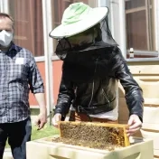 Univerzita spustila praktickú časť výučby včelárstva