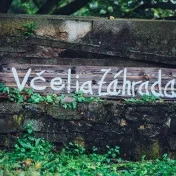 Univerzita spustila výučbu včelárstva, na svojom pozemku zriadi včelnicu