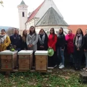 Včely v centre pozornosti Prešovskej univerzity