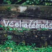 Včely v centre pozornosti Prešovskej univerzity