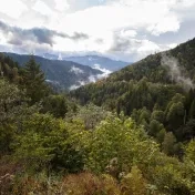 Budujeme partnerstvo vo výskume a ochrane biodiverzity Kaukazu