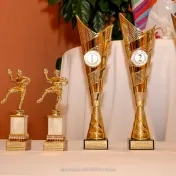Udeľovanie ocenení hádzanárskym tímom