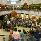Prešovská univerzita v Prešove na Festivale vedy
