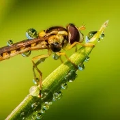 Autorská výstava fotografií Mateja Žiaka