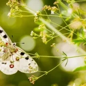 Autorská výstava fotografií Mateja Žiaka