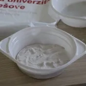 Prešovská detská univerzita v obrazoch
