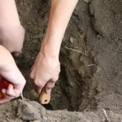 Prešovská detská univerzita v obrazoch