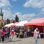 UNIVERZITA MESTU - MESTO UNIVERZITE v obrazoch