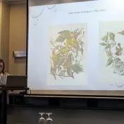 SÚRADNICE ESTETIKY, UMENIA A KULTÚRY 9