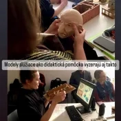 Súradnice estetiky, umenia a kultúry VIII