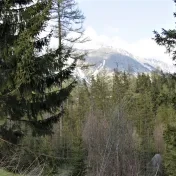 Otázky a problémy perspektív umenia respektíve „koncov umenia“ v estetických, umenovedných a filozofických teóriách