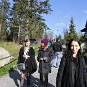 Otázky a problémy perspektív umenia respektíve „koncov umenia“ v estetických, umenovedných a filozofických teóriách