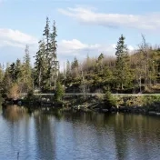 Otázky a problémy perspektív umenia respektíve „koncov umenia“ v estetických, umenovedných a filozofických teóriách