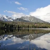 Otázky a problémy perspektív umenia respektíve „koncov umenia“ v estetických, umenovedných a filozofických teóriách