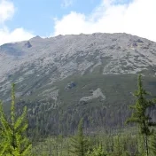 Otázky a problémy perspektív menia, respektíve „koncov umenia“ v estetických, umenovedných a filozofických teóriách