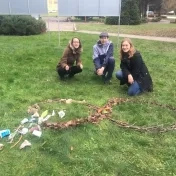 2019 Land Art