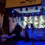 2018 Estetikovica