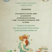 Prekladový workshop