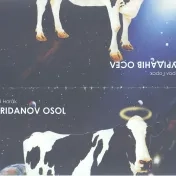 Umelecká činnosť