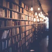 Bachelor´s studies