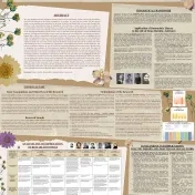 Self-Care Lab at the European Conference for Social Work Research