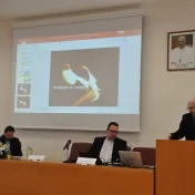 Pramene a identita katechézy v 21. storočí