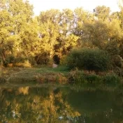 Sacrum a príroda. Ochrana zdravia a života -  28. - 29.09.2018
