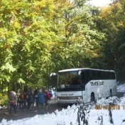 Sacrum a príroda. Od Inter Sanctos k Laudato siʼ