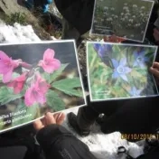 Sacrum a príroda. Od Inter Sanctos k Laudato siʼ