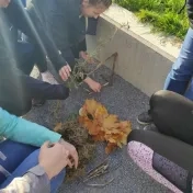 Blended Intensive Programme Outdoorová edukácia v predprimárnom a primárnom vzdelávaní