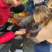 Blended Intensive Programme Outdoorová edukácia v predprimárnom a primárnom vzdelávaní