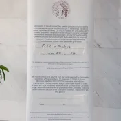 Promócie