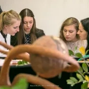 Pregraduálna príprava budúcich pedagógov