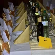 Ples Pedagogickej fakulty PU v Prešove