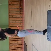 APVV projekt 2015