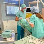 Stetnutie s absolventom stáže