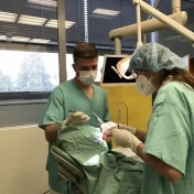 Monitoring stážujúcich študentov