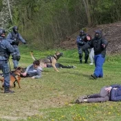 Taktické cvičenie 2023