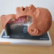 Didaktické prostriedky