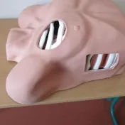 Didaktické prostriedky