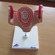 Didaktické prostriedky