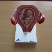 Didaktické prostriedky
