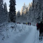 Winter term subjects photo gallery